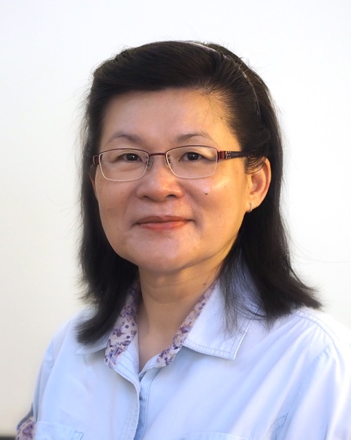 Professor Leo Yee Sin