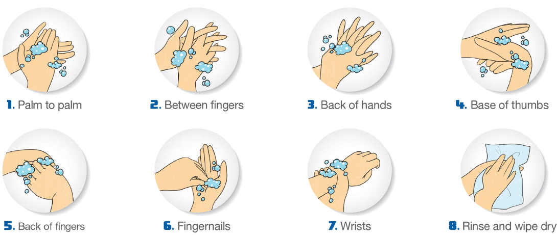 8_Steps_of_Handwashing.png