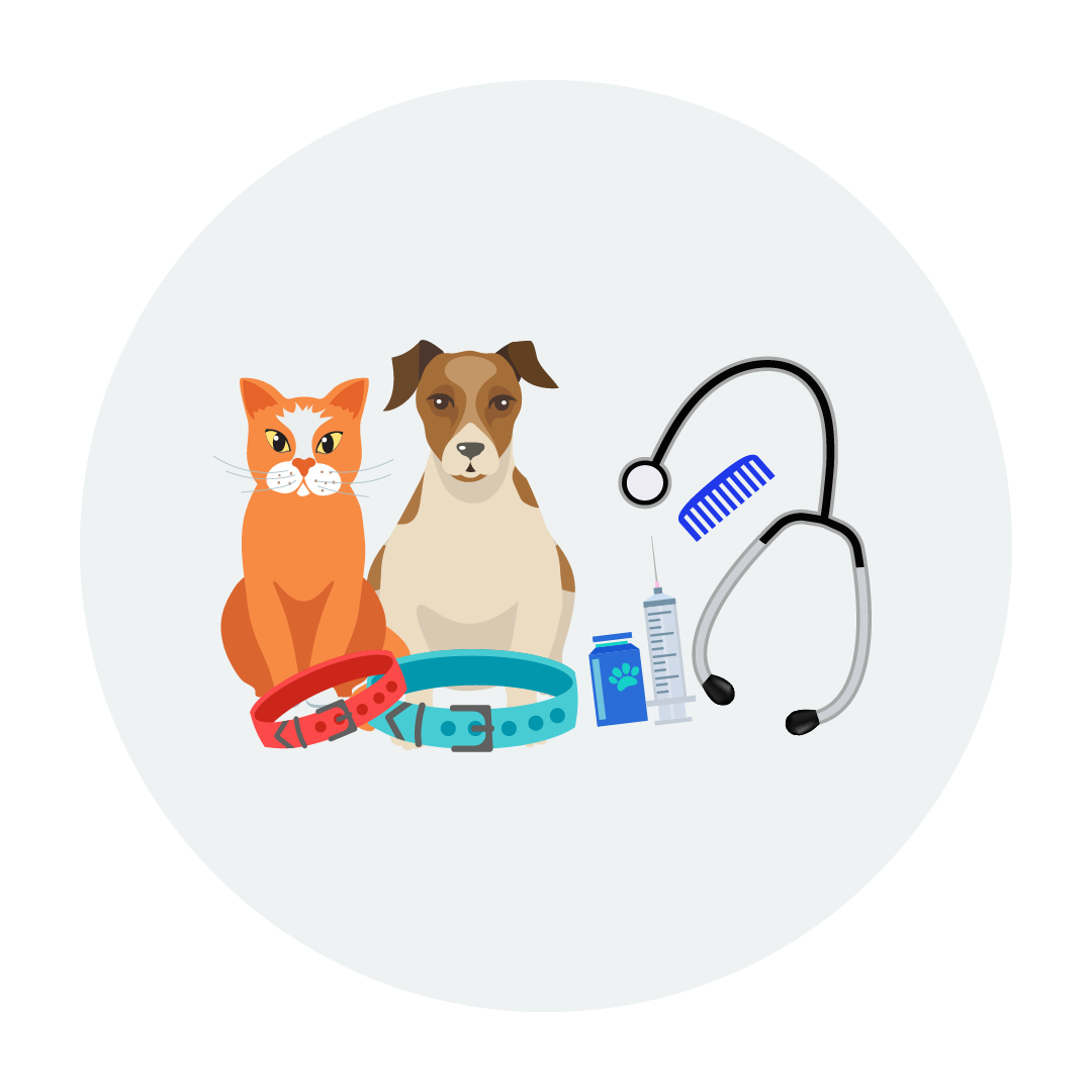 6. Maintain Good Pet Health.png