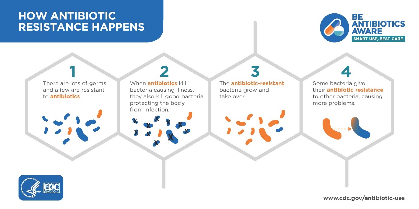 How Antibiotic Resistance Happens.jpg