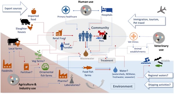 Surveillance Pathway.jpg